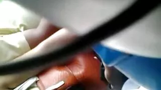 সেক্সি ট্রান্সসেক্সু ...