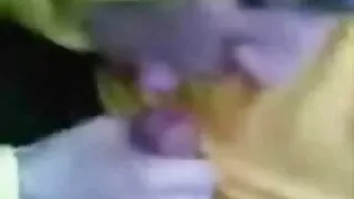 সন্ত্রস্ত গাধা সঙ্গে ...