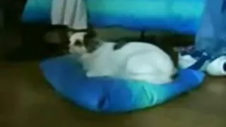 হট এবং তাজা অপেশাদার ...
