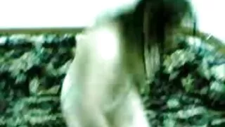 ফুল এইচডি-তে সেরা টি ...