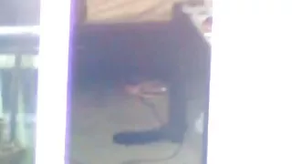 নৃশংস ছেলেটি মেঝেতে  ...
