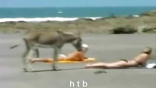 বুদ্বুদ