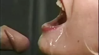 সাদা স্বর্ণকেশী ডুচে ...