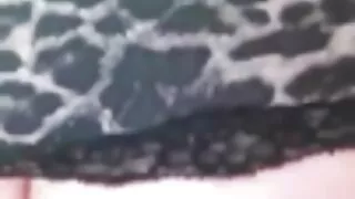 মোরগ চোষা সাভানা সিক ...