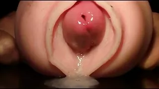 কমনীয় কালো কেশযুক্ত ...