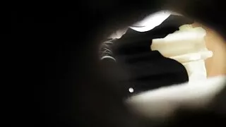 কনি কার্টার কাজের বা ...